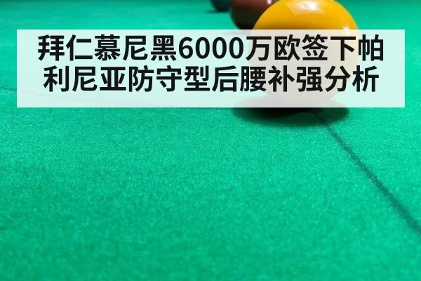 拜仁慕尼黑6000万欧签下帕利尼亚防守型后腰补强分析