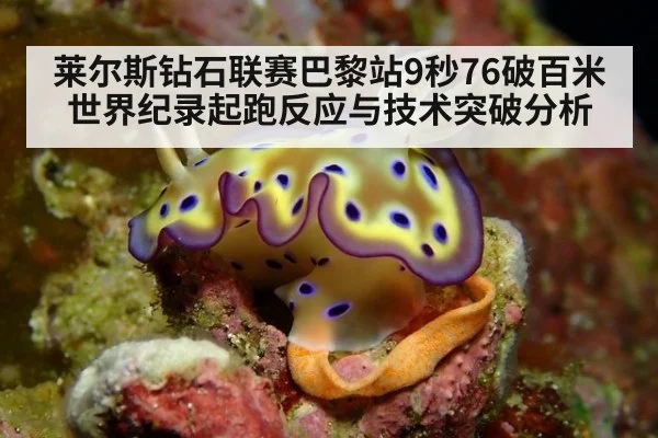 莱尔斯钻石联赛巴黎站9秒76破百米世界纪录起跑反应与技术突破分析