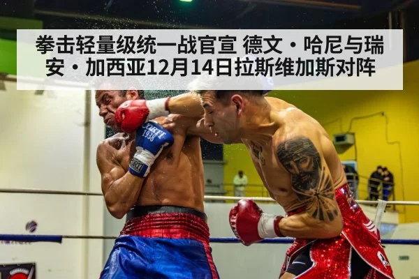 拳击轻量级统一战官宣 德文·哈尼与瑞安·加西亚12月14日拉斯维加斯对阵